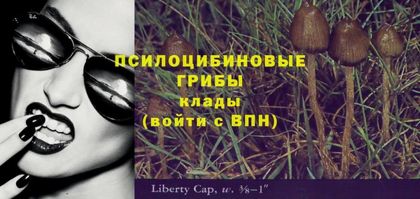 амф Арсеньев