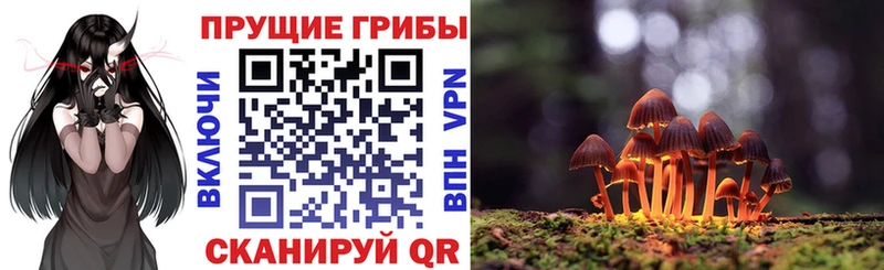 что такое МЕГА зеркало Галлюциногенные грибы Cubensis Минусинск